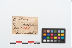 Etikett zu Bronzekamm (NHMW-PRAE-024560)